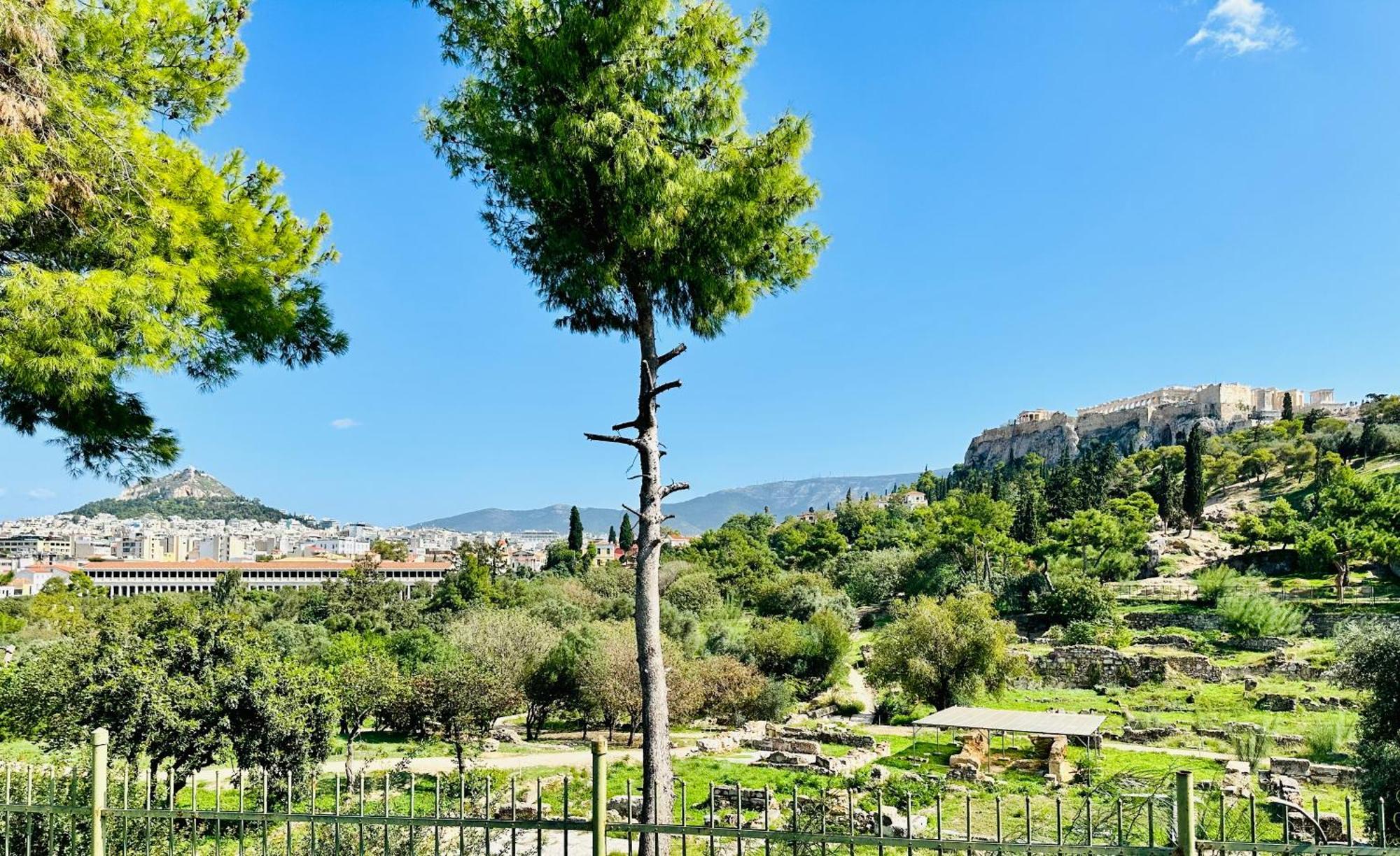 Yuna Penthouse, 100Sqm Private Rooftop Terrasse, Acropolis By Foot Athens Luaran gambar
